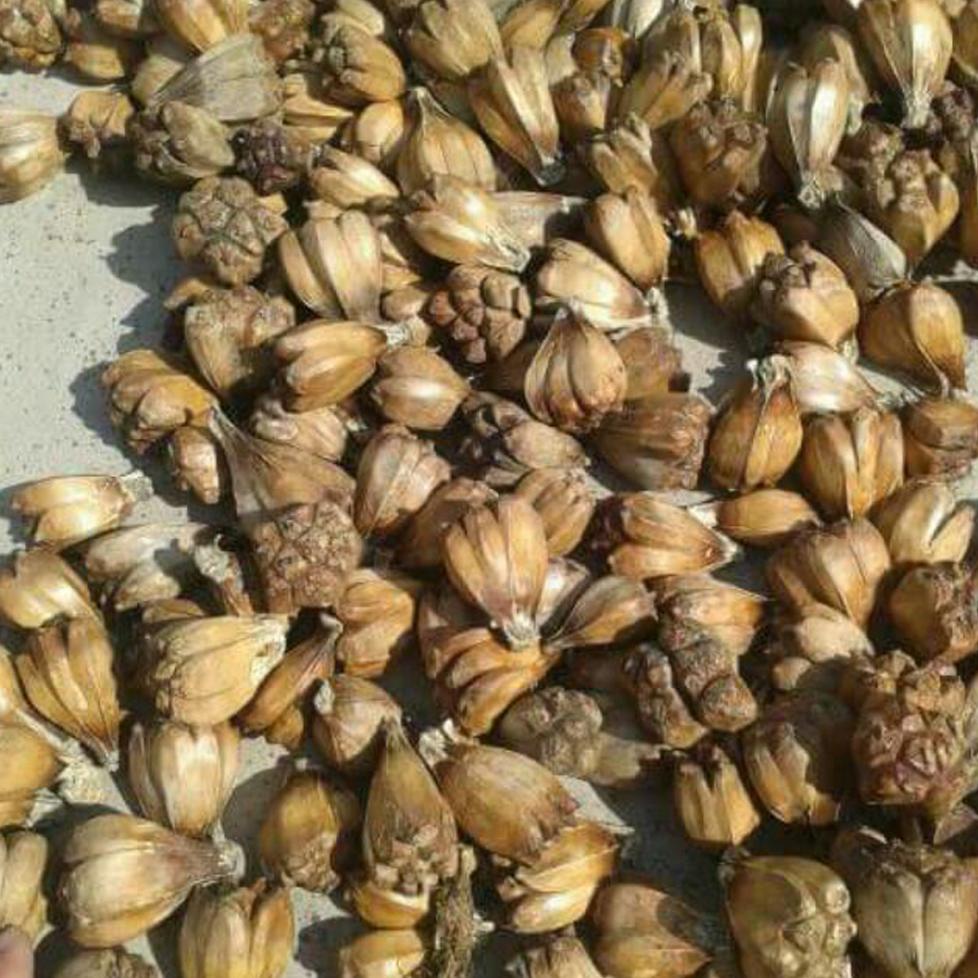 Dứa rừng khô 1kg thơm, ngon, sach