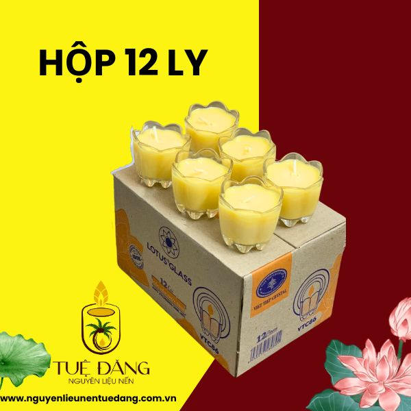 Hộp 12 ly nến bơ hoa mai