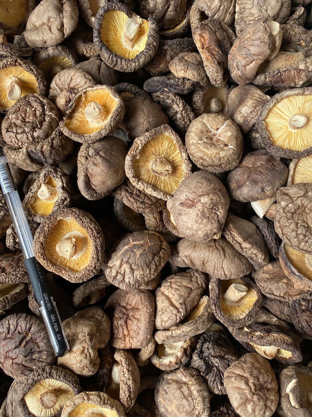 Nấm Đông Cô ( Nấm Hương) Khô 100 Gram