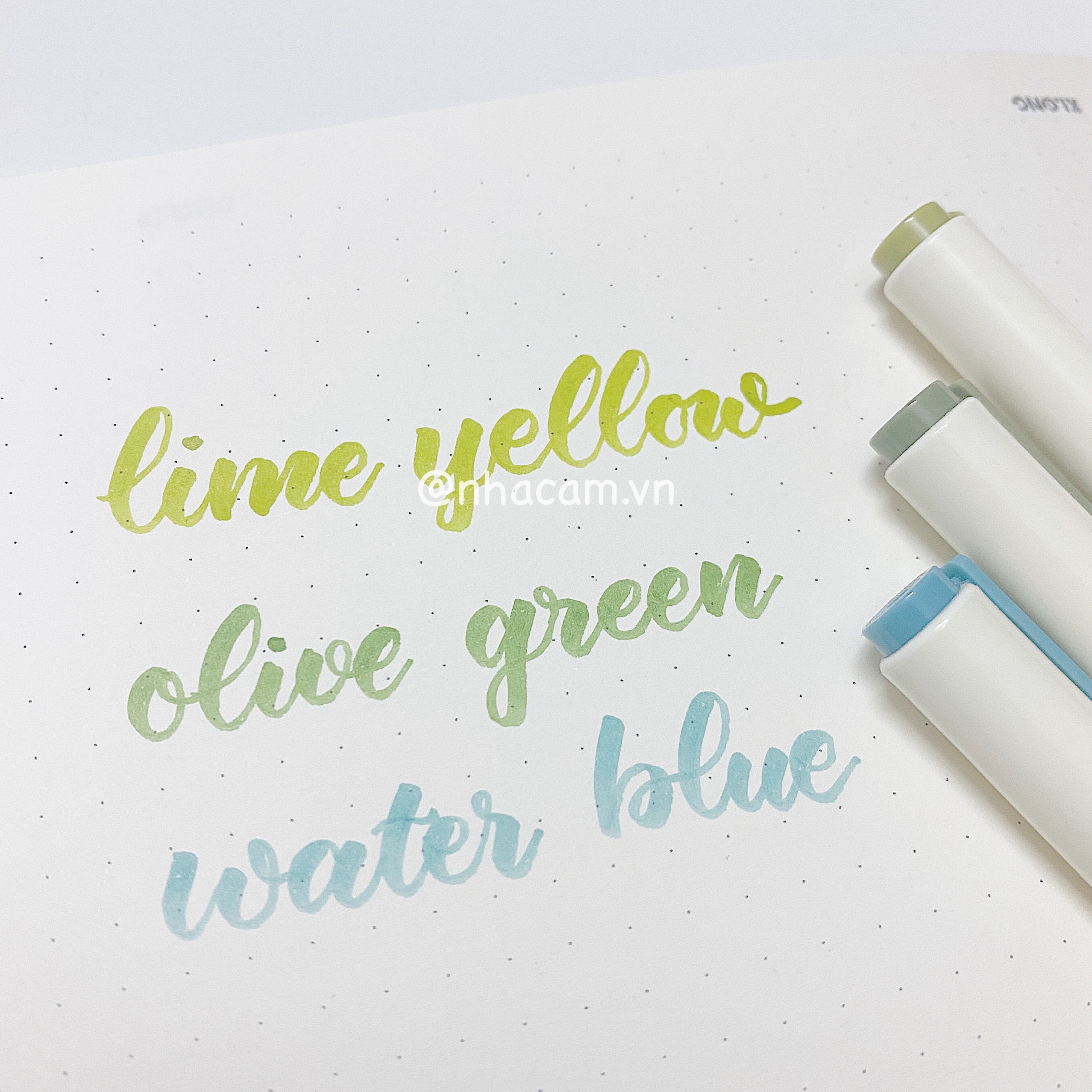 Set 3 bút viết thư pháp soft brush sign pen nhà cam