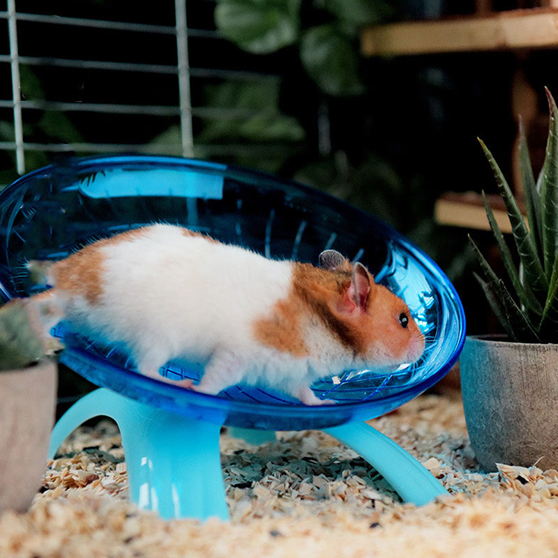 Pet%20Hamster%20Flying%20Saucer%20Exercise%20Squirrel%20Wheel%20Hamster%20Mouse%20Running%20Disc%20BRYT%20-%20Image%202