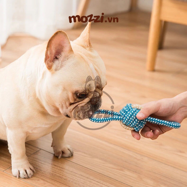 Đồ chơi dây thừng cotton bện màu xanh lá