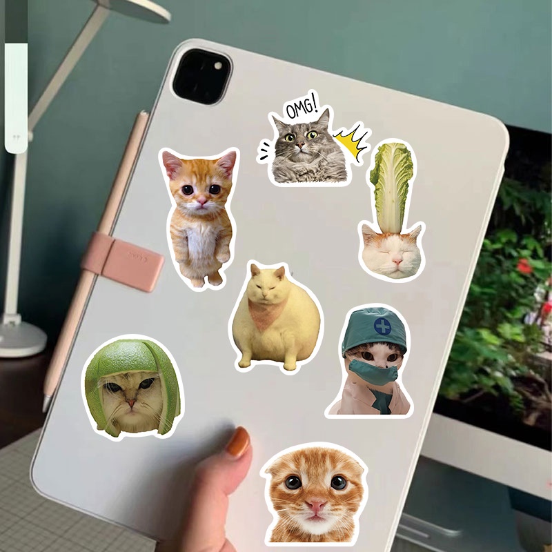 100%2050%20fun%20cat%20meme%20stickers%20waterproof%20wallpapers%20for%20helmets%20bicycles%20handwriting%20pencils%20orchid%20stickers%20world%20-%20Image%207