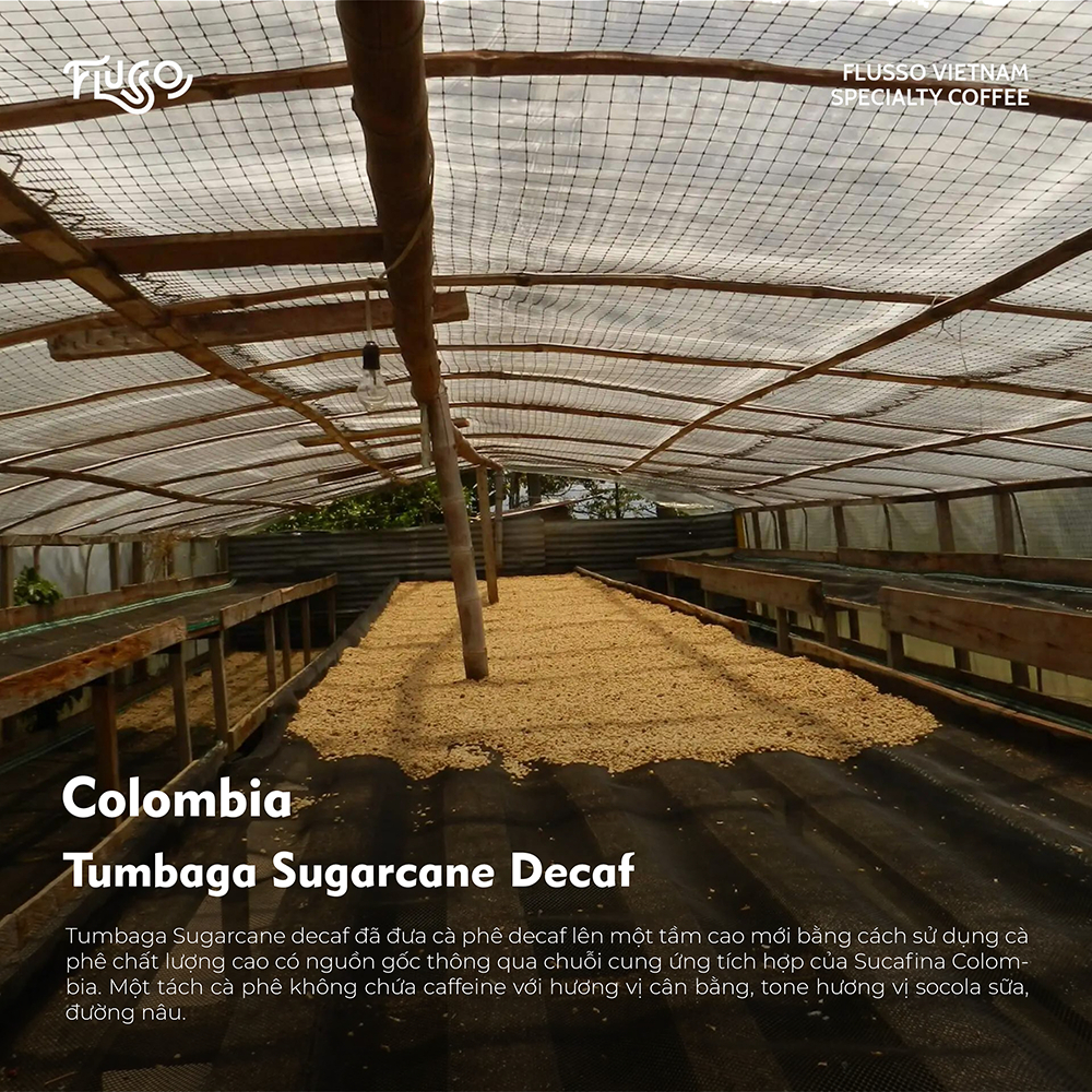 [Khử caffein] Cà Phê Specialty Arabica Colombia Tumbaga Sugarcane Decaf