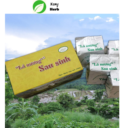 Lá Nương Tắm Sau Sinh