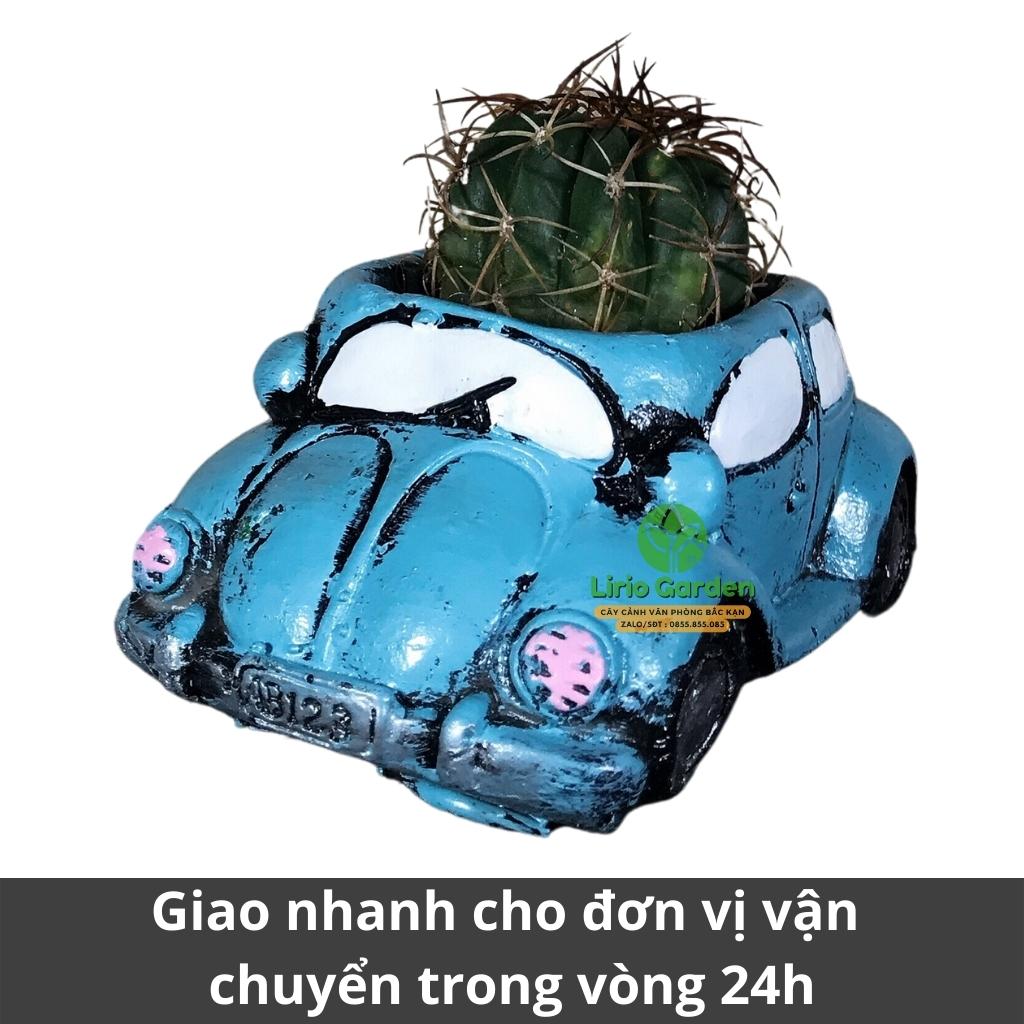 chậu trồng cây hình ô tô cổ [ tặng kèm đất trồng cây ]