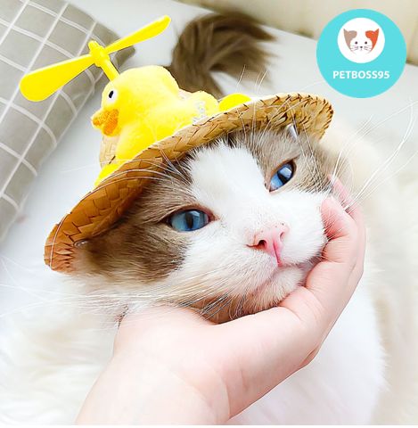 NÓN CỐI CHO CHÓ MÈO SIÊU DỄ THƯƠNG