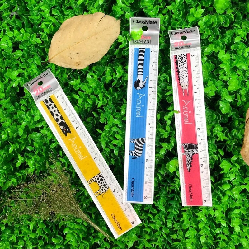 Combo 2 thước kẻ 20cm Classmate RL04-AN