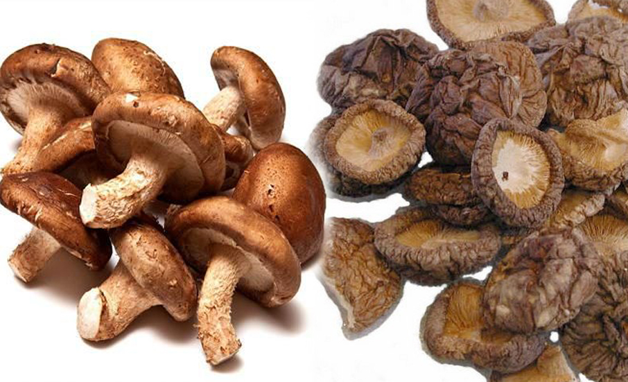 200 Gram nấm Đông cô khô Bình định