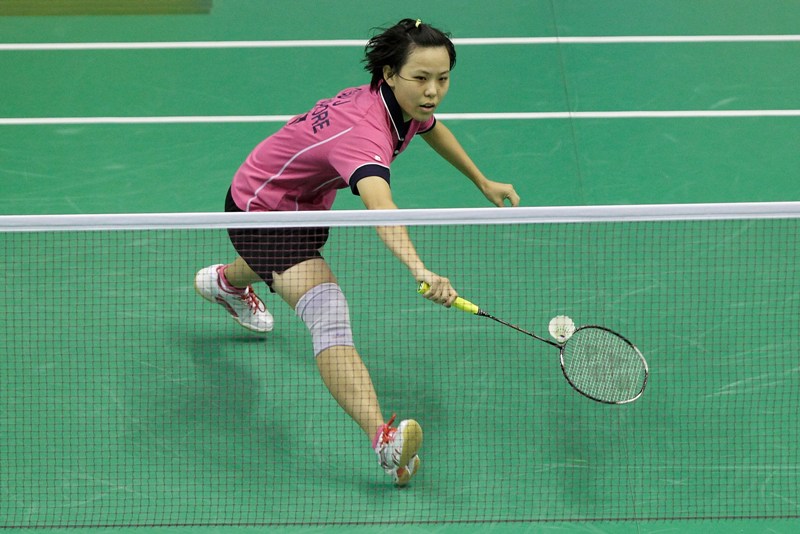 Lưới cầu lông đôi 6.1 x 0.76m chuẩn thi đấu