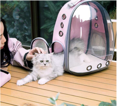 [Hoàn tiền 10%] Ba Lô Vận Chuyển Chó Mèo đi xa .