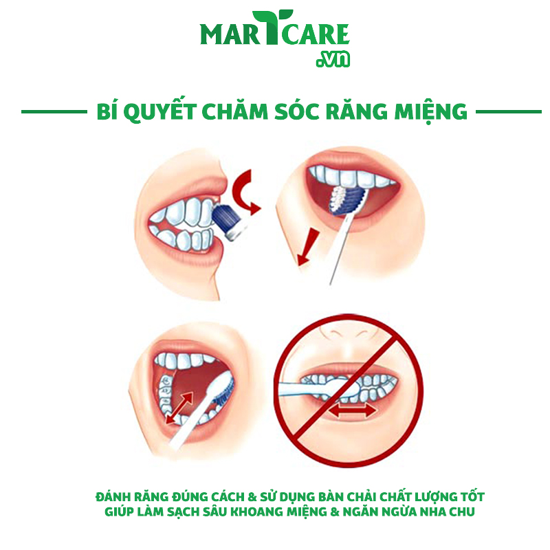 Bàn Chải Đánh Răng Nhật Bản Okamura Picca Kids Cho Bé Từ 0.5 Đến 12 Tuổi Kháng Khuẩn, Lông Mềm Mại