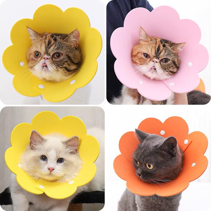 [Hoàn Tiền 10%] Vòng cổ chống liếm cho chó , mèo , Loa đeo chống liếm cho chó mèo thú cưng nhiều họa tiết