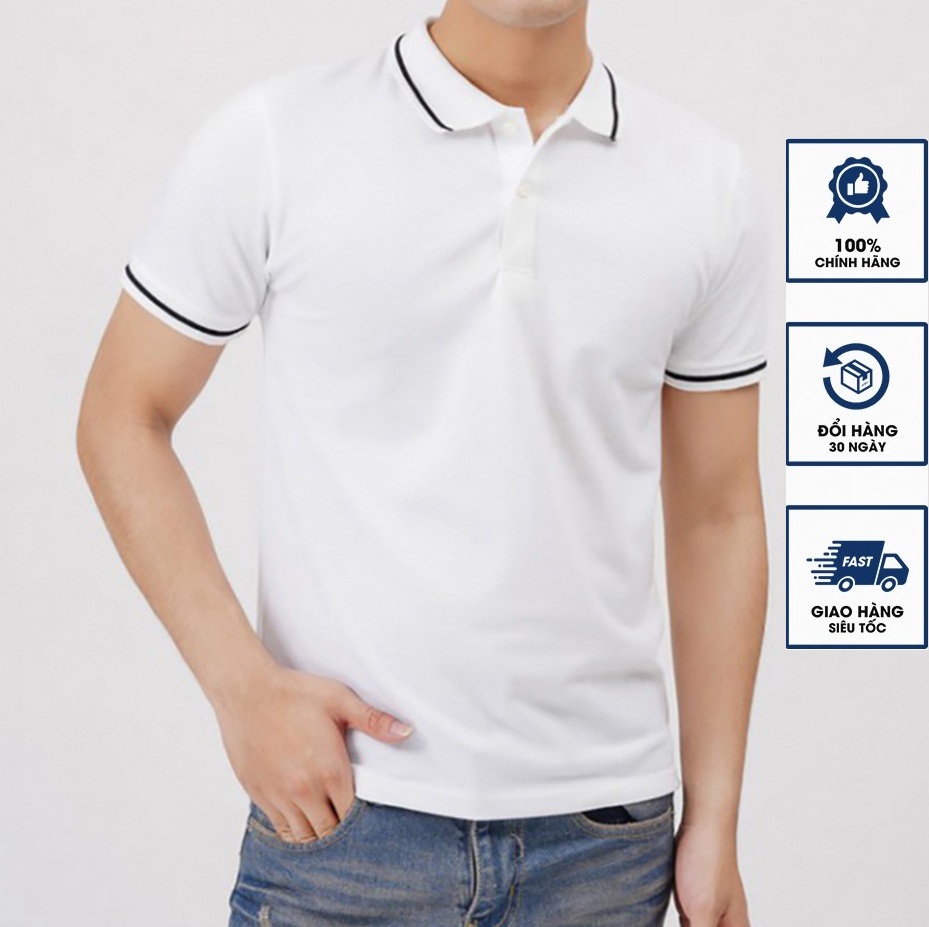 Áo thun nam POLO PHỐI VIỀN vải thun cotton 4 chiều co dãn mịn mát sang trọng lịch lãm-PLOVIEN212