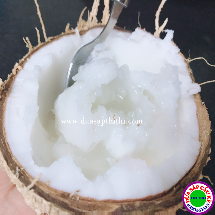 COMBO 2 DỪA SÁP LOẠI 1 TRÁI ĐẶC BIỆT