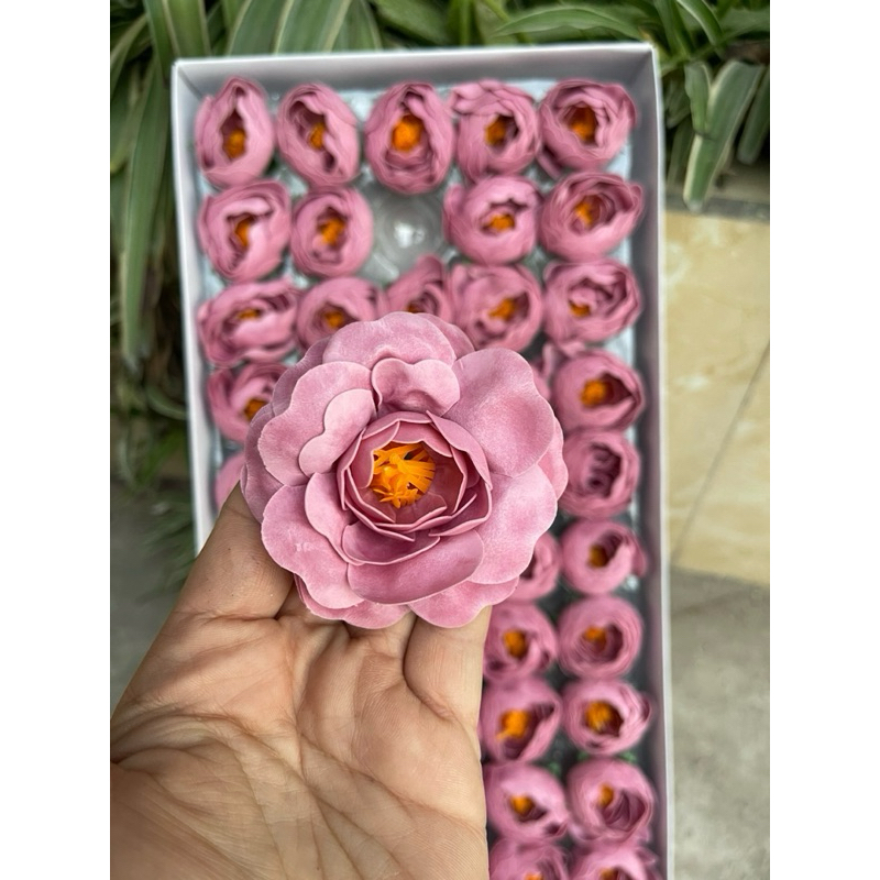 HOA SÁP MAO LƯƠNG”hoa trà”( hộp 50 bông)