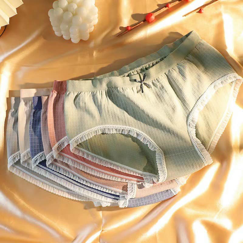 Sét 5 quần lót cotton phối viền kháng khuẩn sợi tre cao cấp