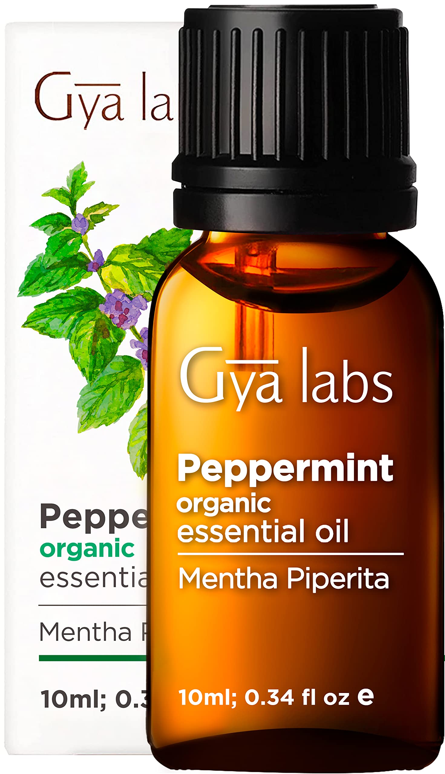 Gya Labs Organic Peppermint Oil for Hair - Mint Essential Oils - Premium  Grade Natural Organic Peppermint Essential Oil for Diffuser & Skin (0.34 fl