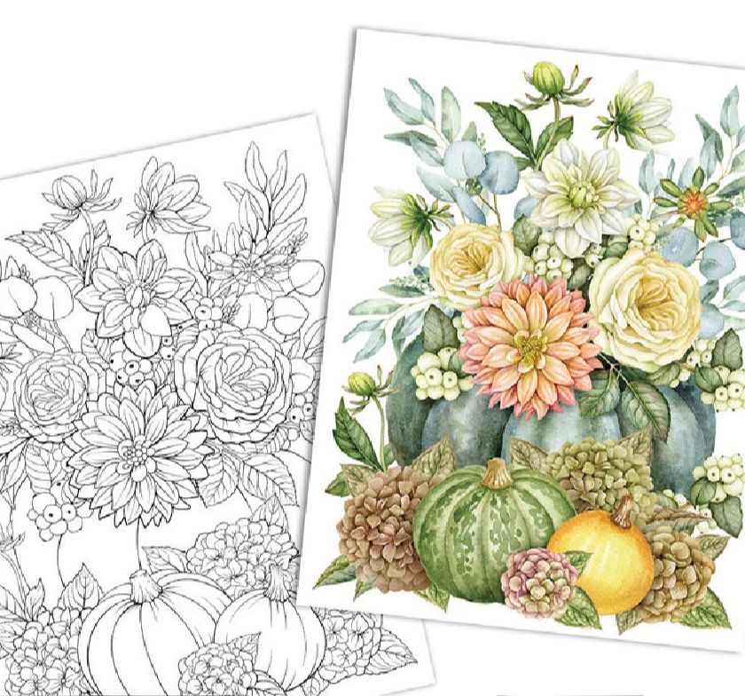 line art tranh tô màu nước combo 12 tranh, giấy dầy đẹp
