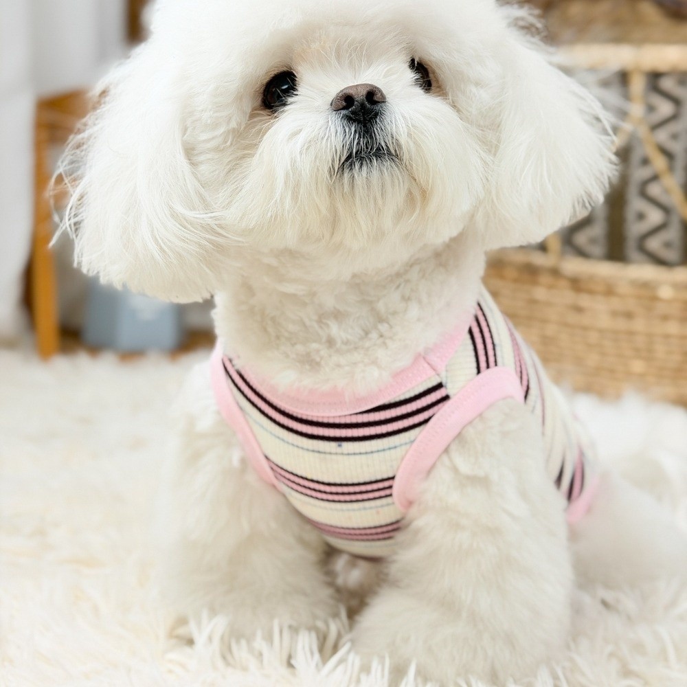 Bear%20Pattern%20Round%20Neck%20Dog%20Cooling%20Vest%20Comfortable%20Thin%20Soft%20Pet%20Pullover%20Cool%20Sun%20Protection%20Summer%20Dog%20Clothes%20Puppies%20Cat%20-%20Image%207