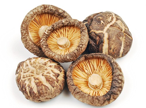 1KG  NẤM HƯƠNG SẠCH TÂY BẮC