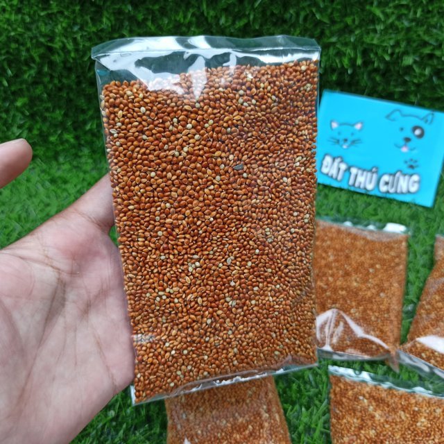 Kê đỏ hạt trộn thêm cho Hamster