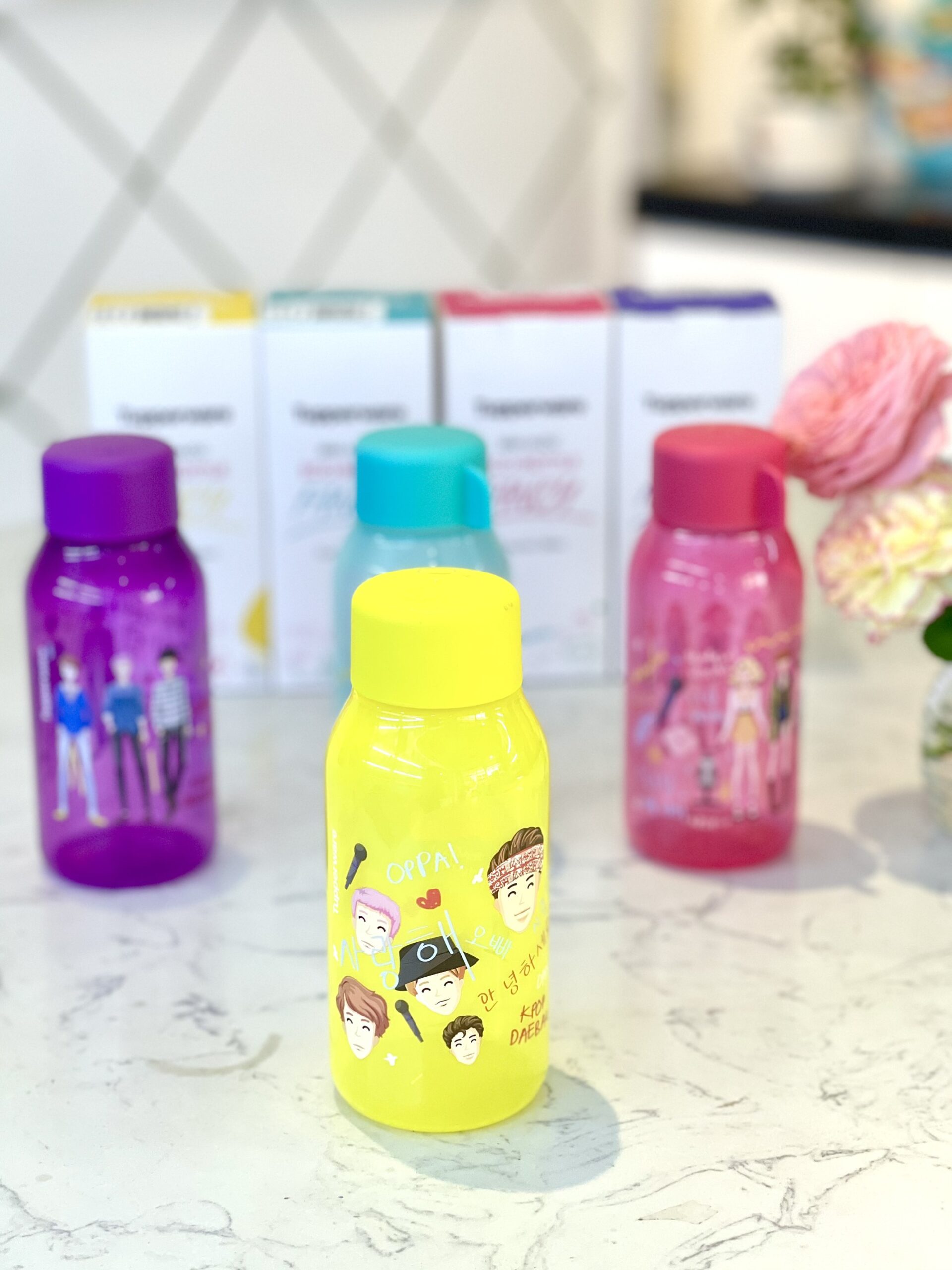 Bình Nước Eco Bottle Fancy 350ML