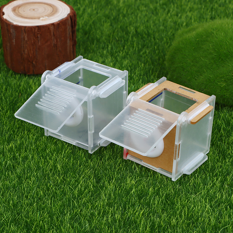 Acrylic%20High%20Transparent%20Ant%20Activity%20Area%20Test%20Tube%20Connection%20Nest%20DIY%20Ant%20Farm%20Feeding%20Box%2015/18mm%20Caliber%20Test%20Tube%20Nest%20-%20Image%207