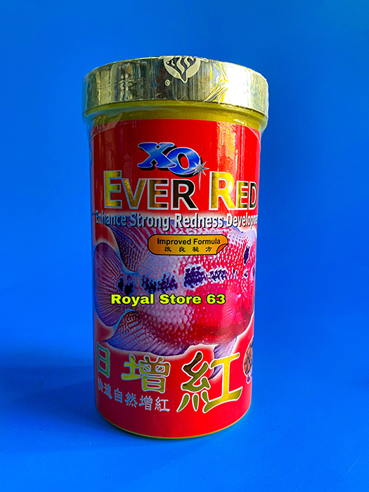 Thức ăn cho cá la hán XO Ever Red hỗ trợ tăng đầu màu châu của Singapore