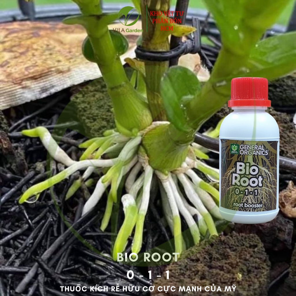 [Giá hủy diệt] Bio Root- kích rễ cực mạnh nhập khẩu từ Mỹ 100ml