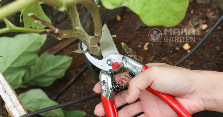 Kéo cắt cành cây Chikamasa PSA-G8 hàng Nhật