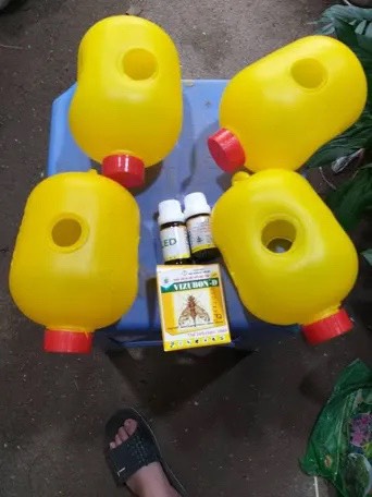 Combo phẩm bẫy ruồi vàng - 1 chai dẫn dụ ruồi + 1 chai diệt ruồi + 2 Bẫy ruồi vàng