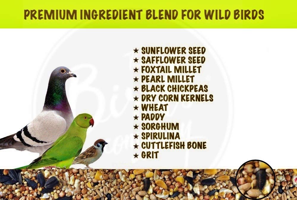 The%20Birds%20Company%20Premium%20Seed%20Blend%20of%209%20Grains%20&%20Nuts,%20Bird%20Feeder%20Food%20Refill,%20Mix%20Seeds%20for%20Outside%20Wild%20Birds,%20%20Parrot,%20Sparrow,%201%20kg%20pack%20-%20Image%203