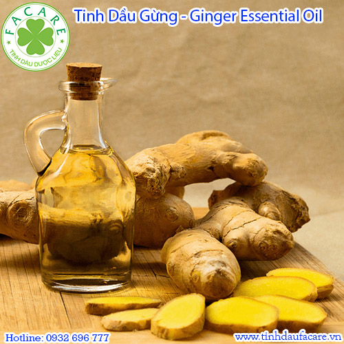 Tinh dầu Gừng Ginger essential oil - 10ml