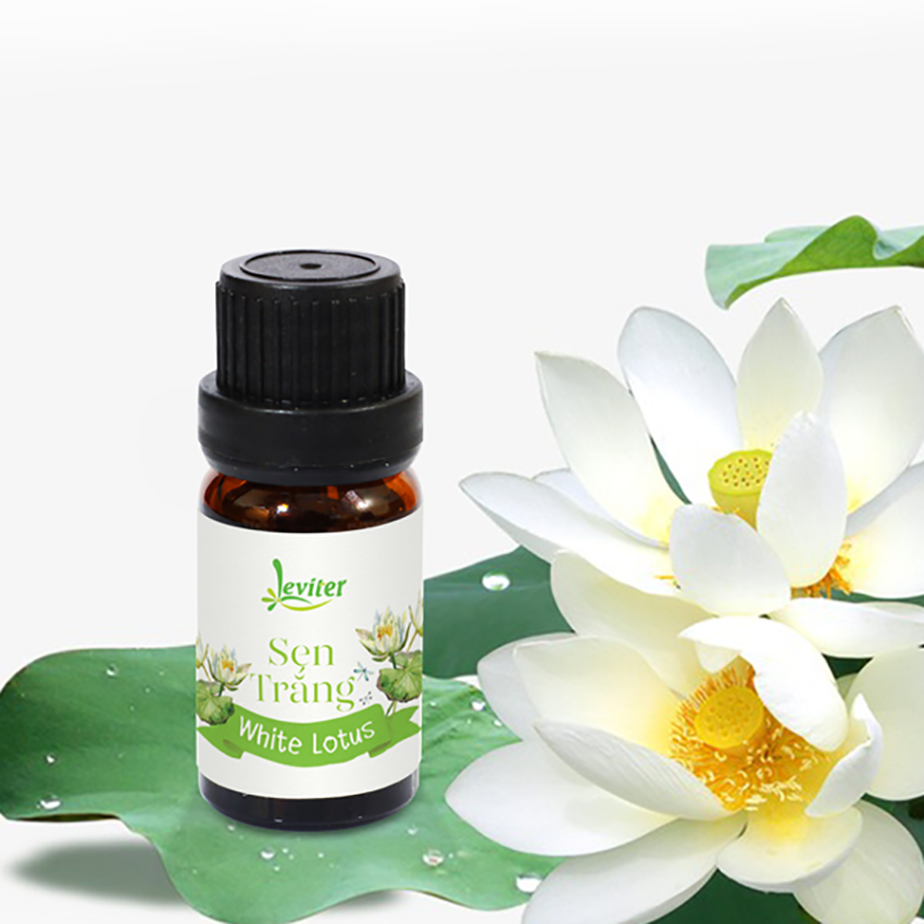 Tinh Dầu Leviter Hoa Sen Trắng thơm mát, tinh khiết10ml