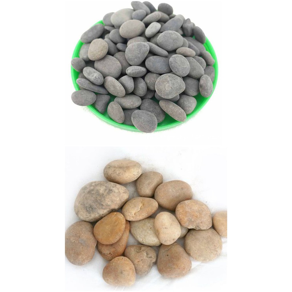 Sỏi cuội đen - cuội vàng trang trí hồ cá thủy sinh
