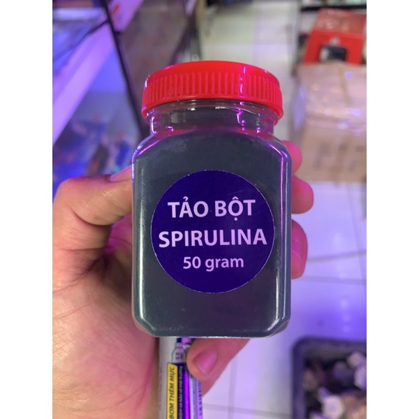 Tảo Bột - Thức ăn cho Artemia và cá con