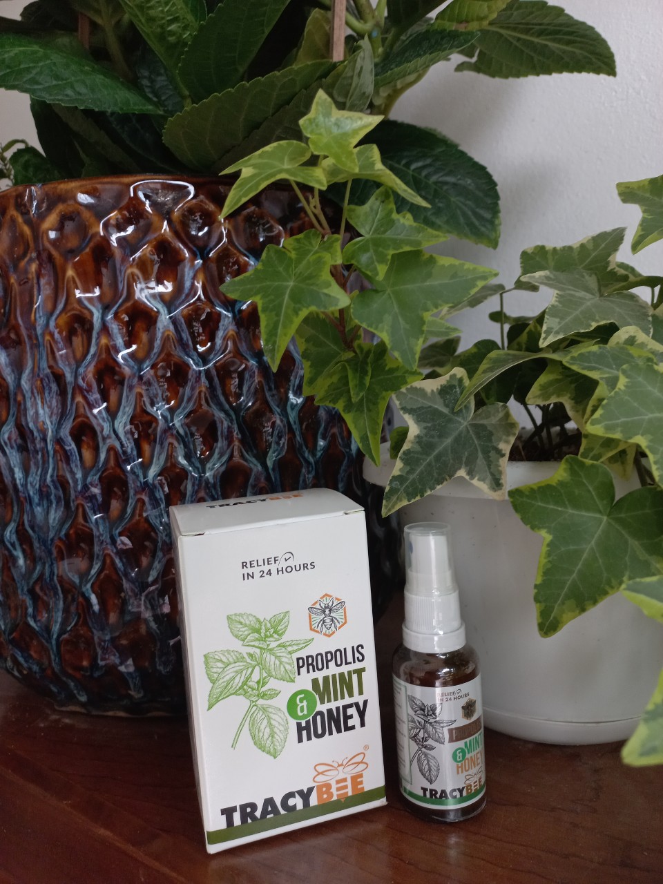 Xịt họng keo ong tracybee