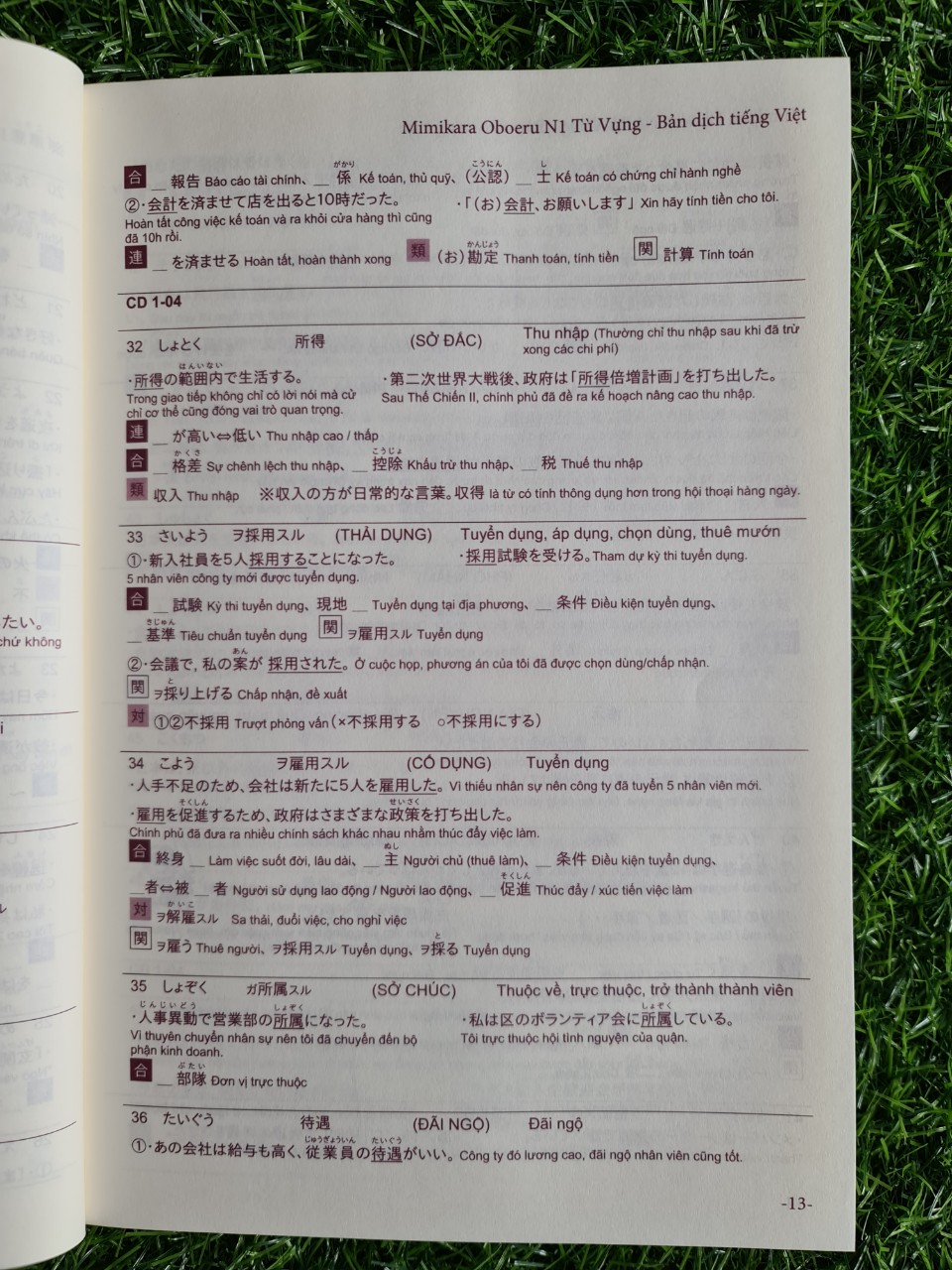 Mimikara N1 Từ Vựng ( KÈM CD)