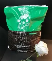 Deutschland Made Plantaflor Plus Potting Soil Blumenerde Potting Soil Garden Soil Premium Soil Available Immediately With Mineral Additives Organic Additives 5 Litre 1 Kg Lazada Singapore