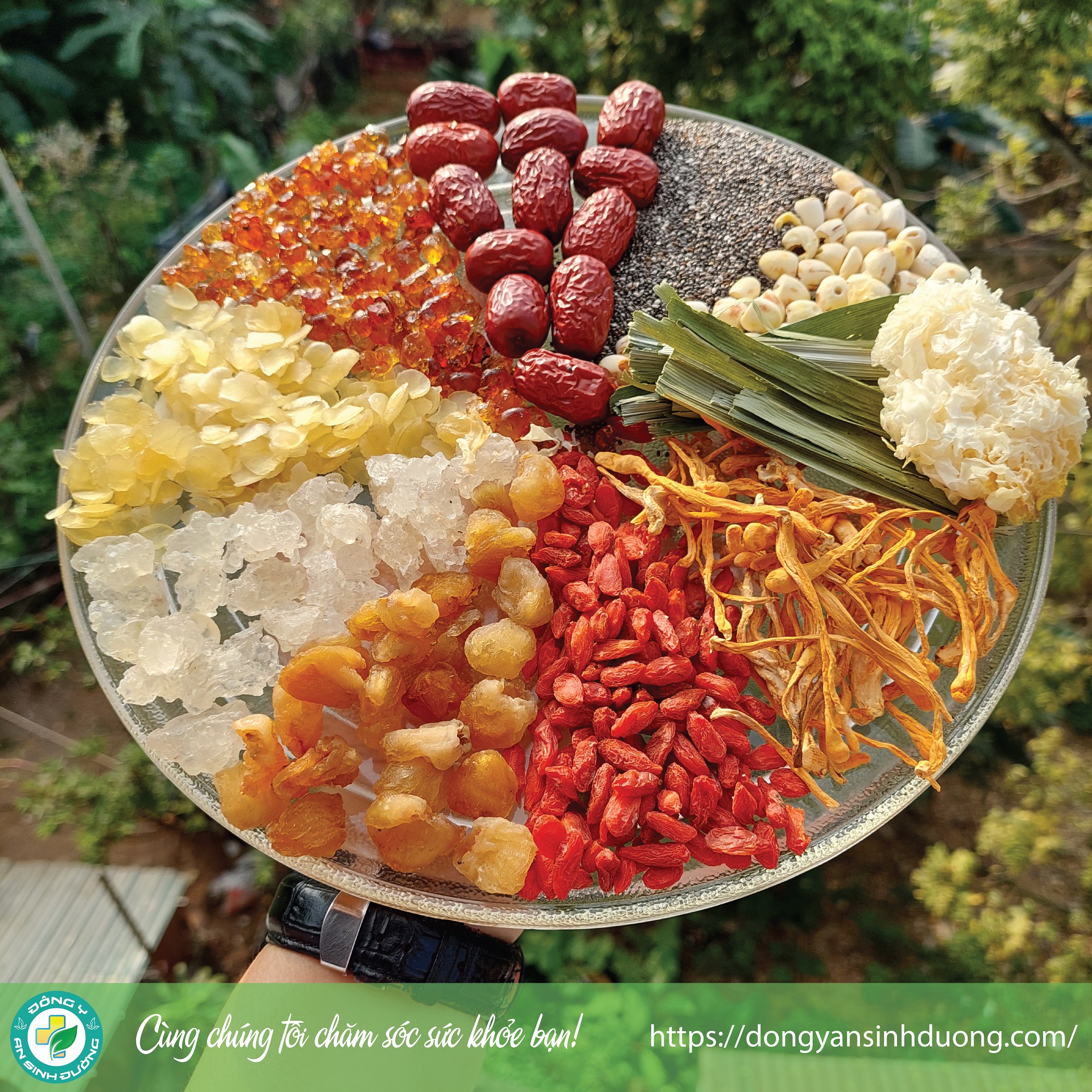 [Đủ 12 vị] Set chè dưỡng nhan bổ dưỡng, thanh mát