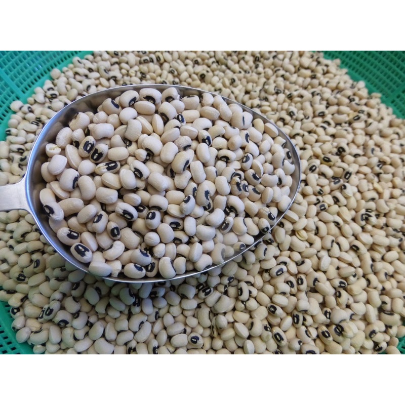 500g Đậu trắng bi Đà Lạt