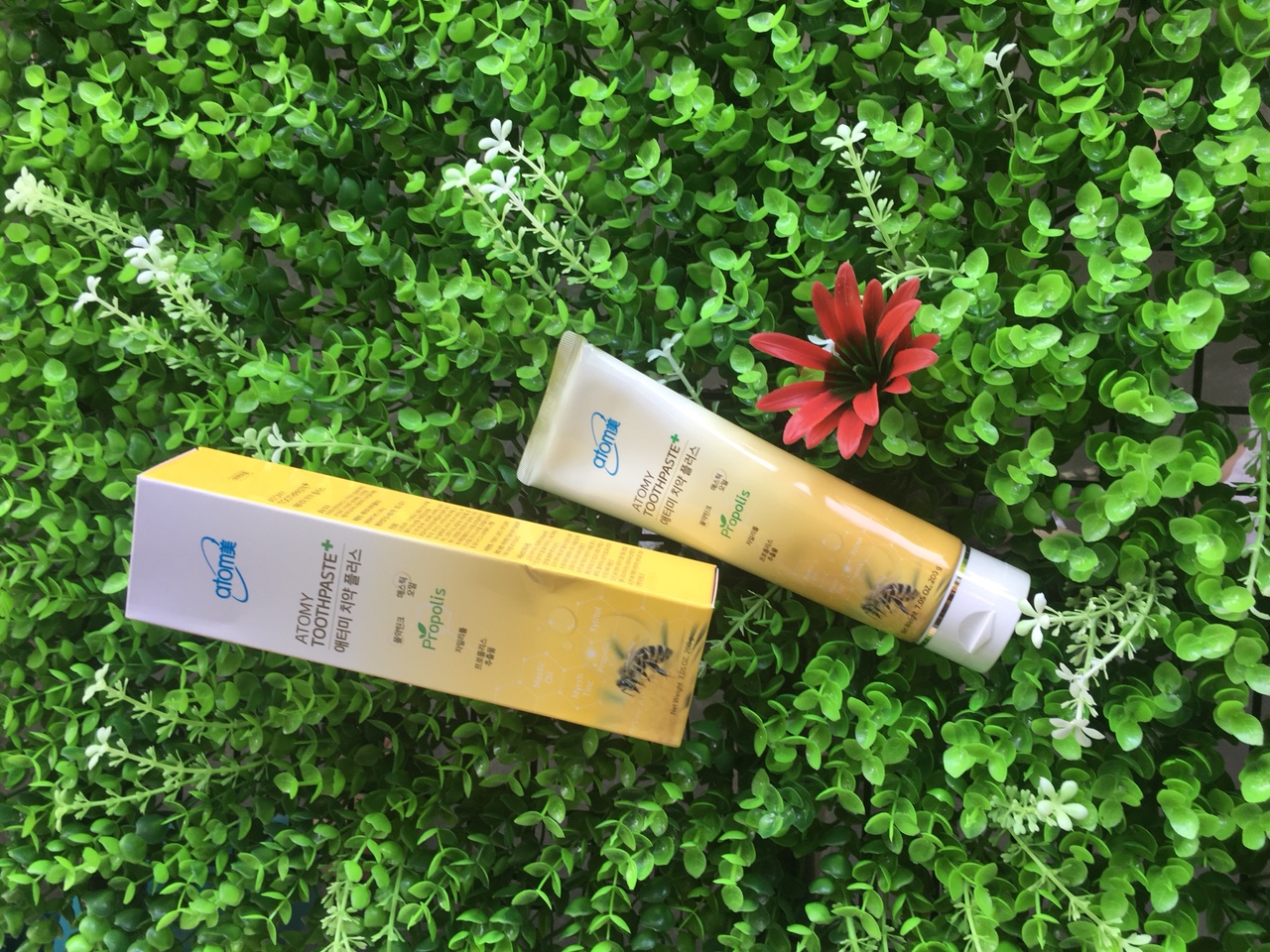 Kem đánh răng từ sáp ong Atomy Toothpaste