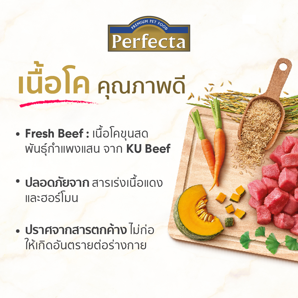 [1ถุง]Perfecta Premiun Dog Food 1 kg/เพอร์เฟคต้าอาหารลูกสุนัข และรสุนัข ...