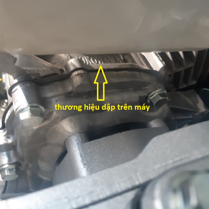 Máy nổ Yokoham 6,5 hp cốt xéo cam sắt