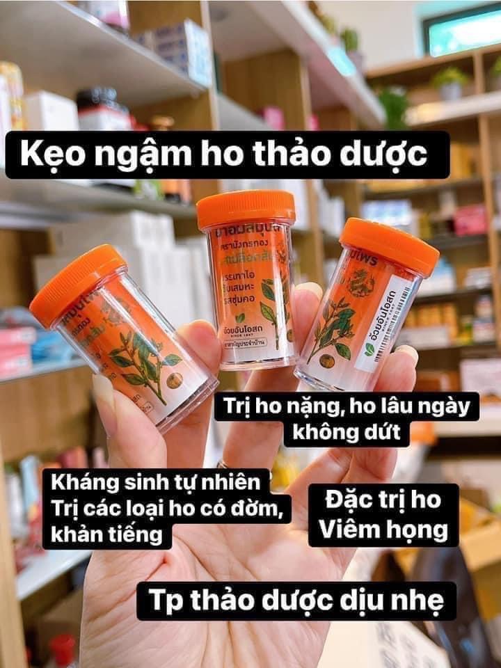 VIEN-NGAM-THAO-DUOC-TRIHO-THAI-LAN