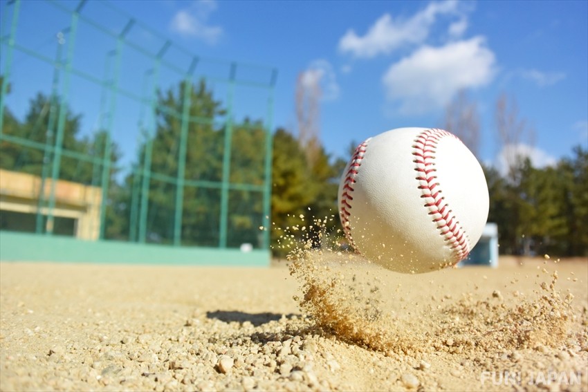 Bóng Chày Da Mềm LOẠI tốt - LYLYSPORTS
