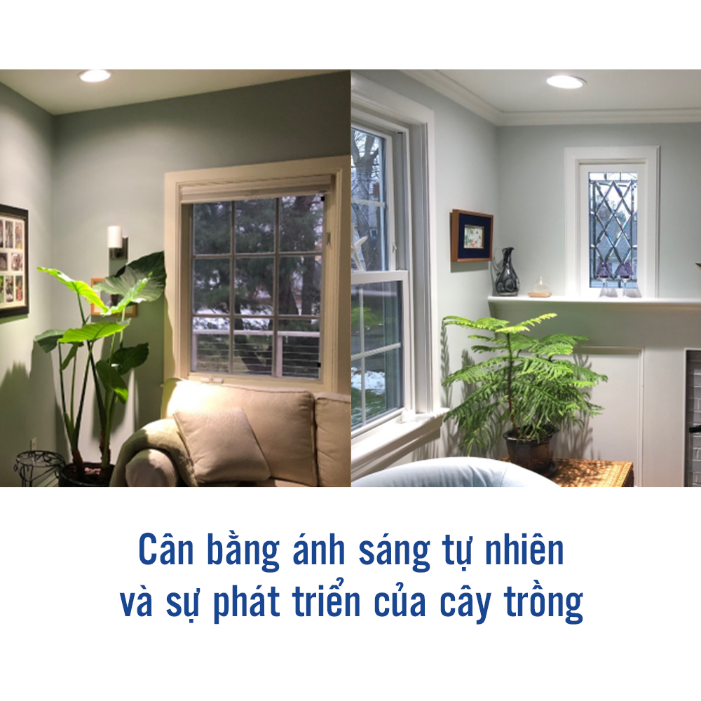 Đèn chiếu cây PHILIPS Grow Lamp 16W Par38 E27 950 50D