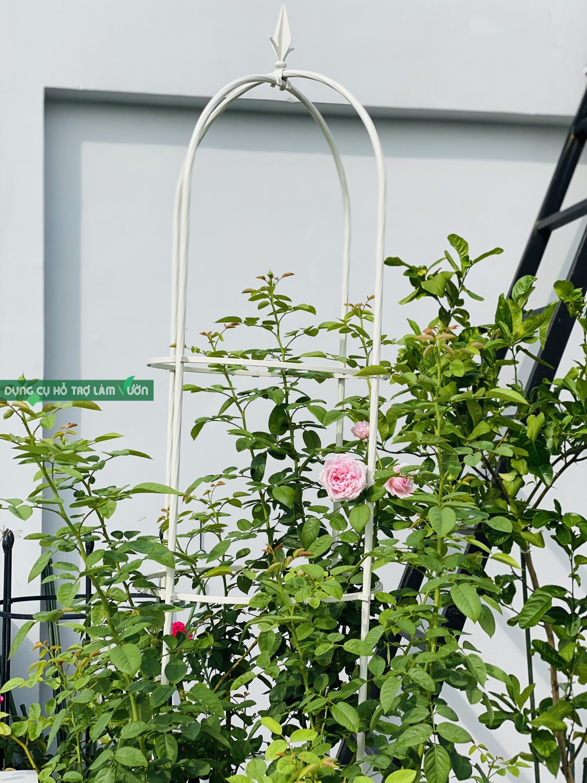 Khung trồng hoa hồng leo 210cm 3 vòng đường kính vòng 41cm màu đen