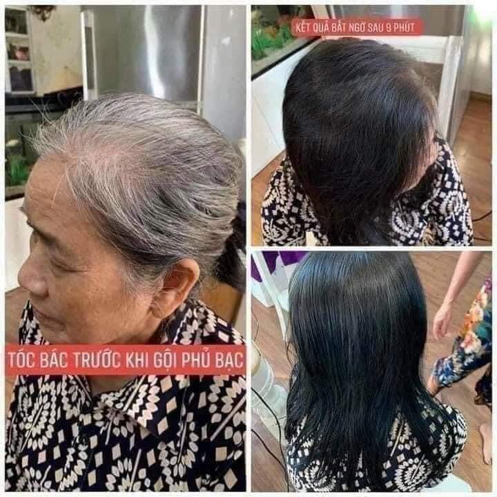 Dầu gội nhuộm tóc thảo dược, phủ bạc đen tóc và nâu tóc